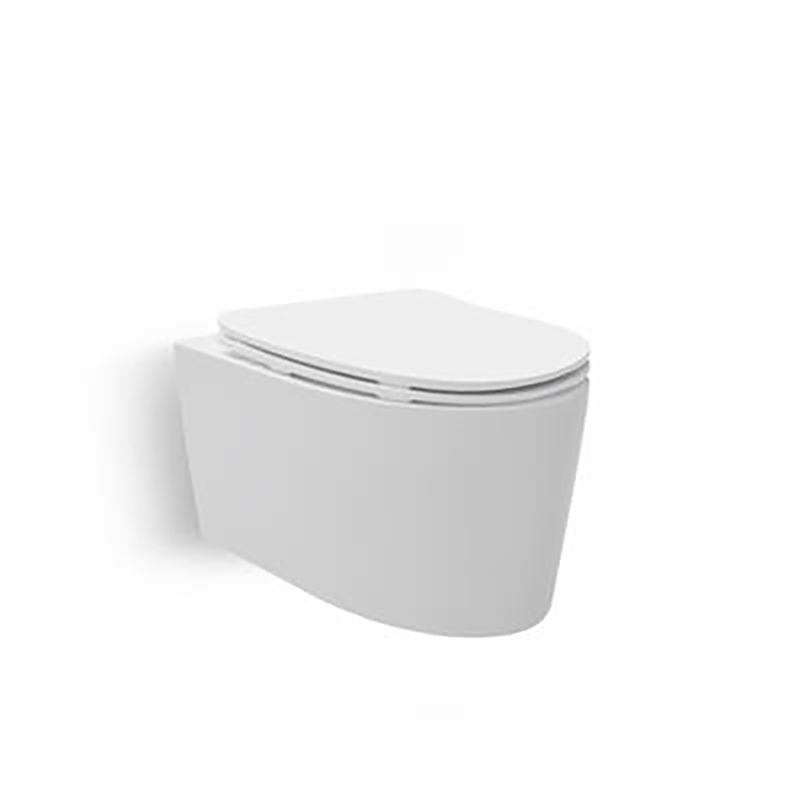 Grande Wall Hung Toilet